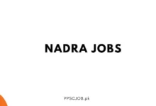 NADRA Jobs