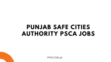 Punjab Safe Cities Authority PSCA Jobs