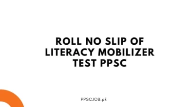 Roll No Slip of Literacy Mobilizer Test PPSC