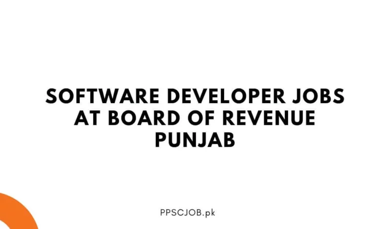 Software Developer Jobs at Board of Revenue Punjab