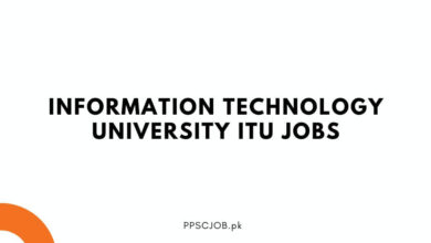 Information Technology University ITU Jobs