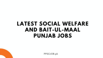 Latest Social Welfare and Bait-ul-Maal Punjab Jobs