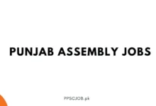 Punjab Assembly Jobs