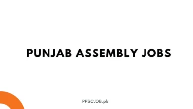 Punjab Assembly Jobs