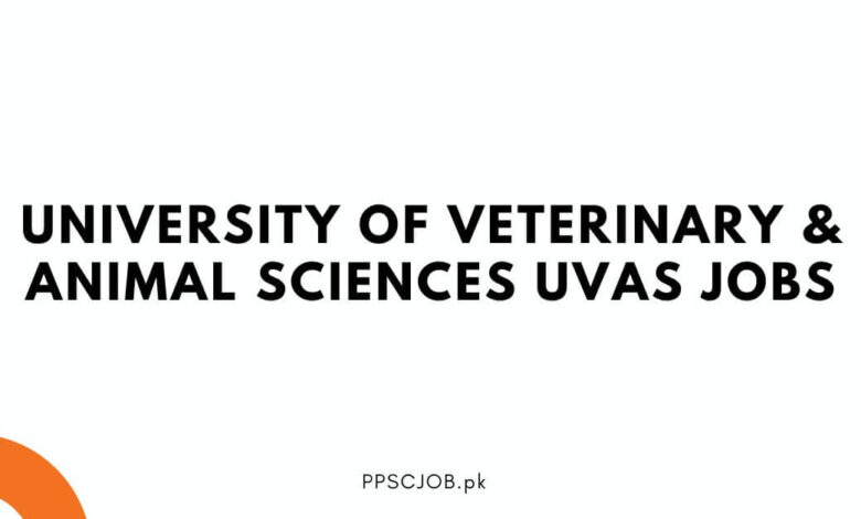 University of Veterinary & Animal Sciences UVAS Jobs