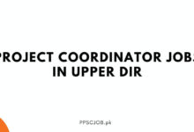 Project Coordinator Jobs in Upper Dir