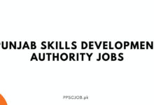 Punjab Skills Development Authority Jobs