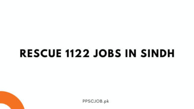 Rescue 1122 Jobs in Sindh