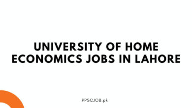 University of Home Economics Jobs in Lahore