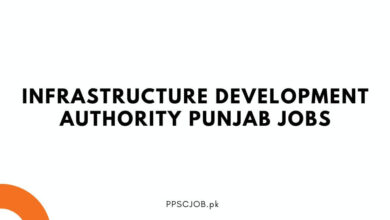 Infrastructure Development Authority Punjab Jobs