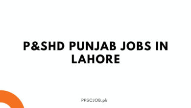 P&SHD Punjab Jobs in Lahore